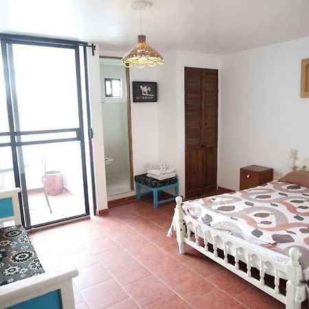 تشولولا Hostal El Cascabel المظهر الخارجي الصورة