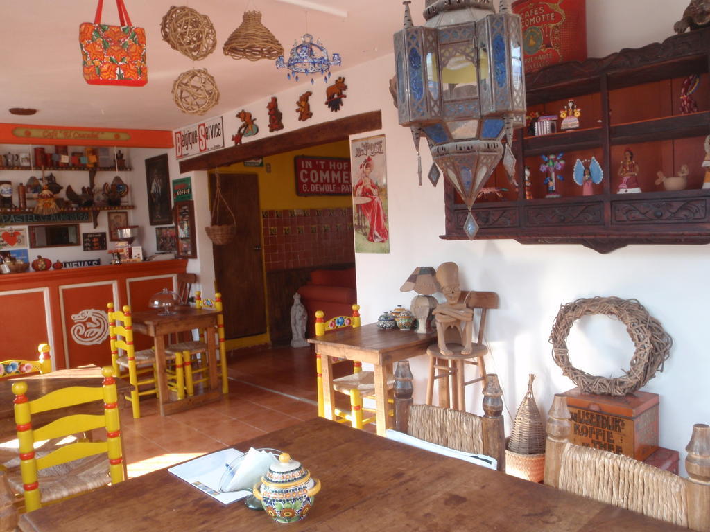 تشولولا Hostal El Cascabel المظهر الخارجي الصورة