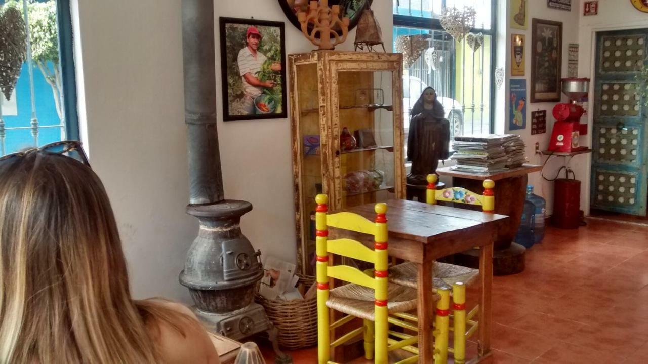 تشولولا Hostal El Cascabel المظهر الخارجي الصورة
