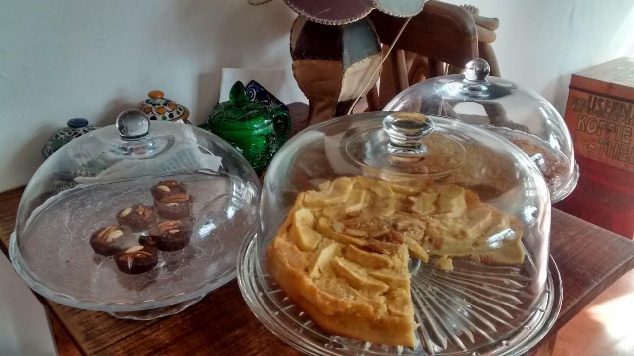 تشولولا Hostal El Cascabel المظهر الخارجي الصورة