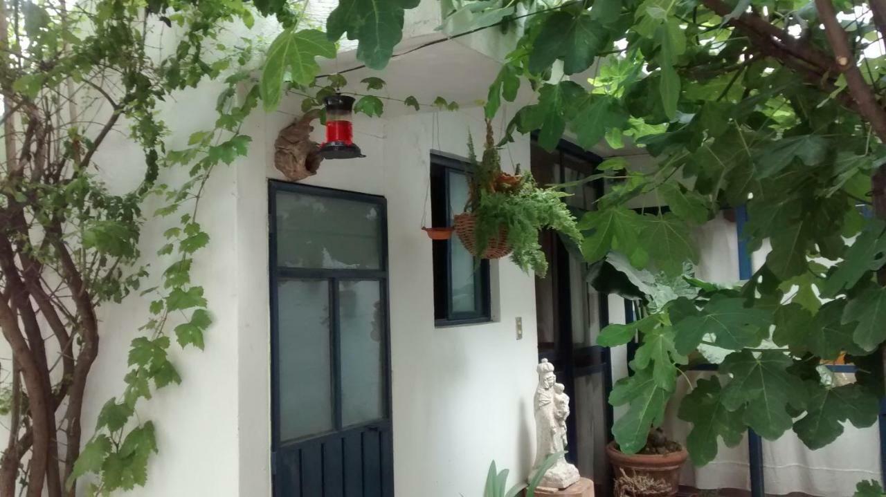 تشولولا Hostal El Cascabel المظهر الخارجي الصورة