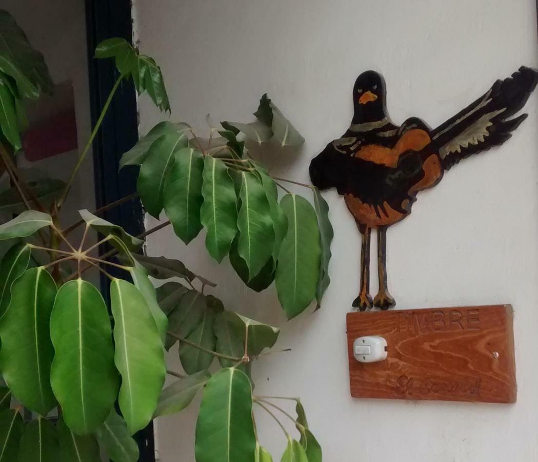 تشولولا Hostal El Cascabel المظهر الخارجي الصورة