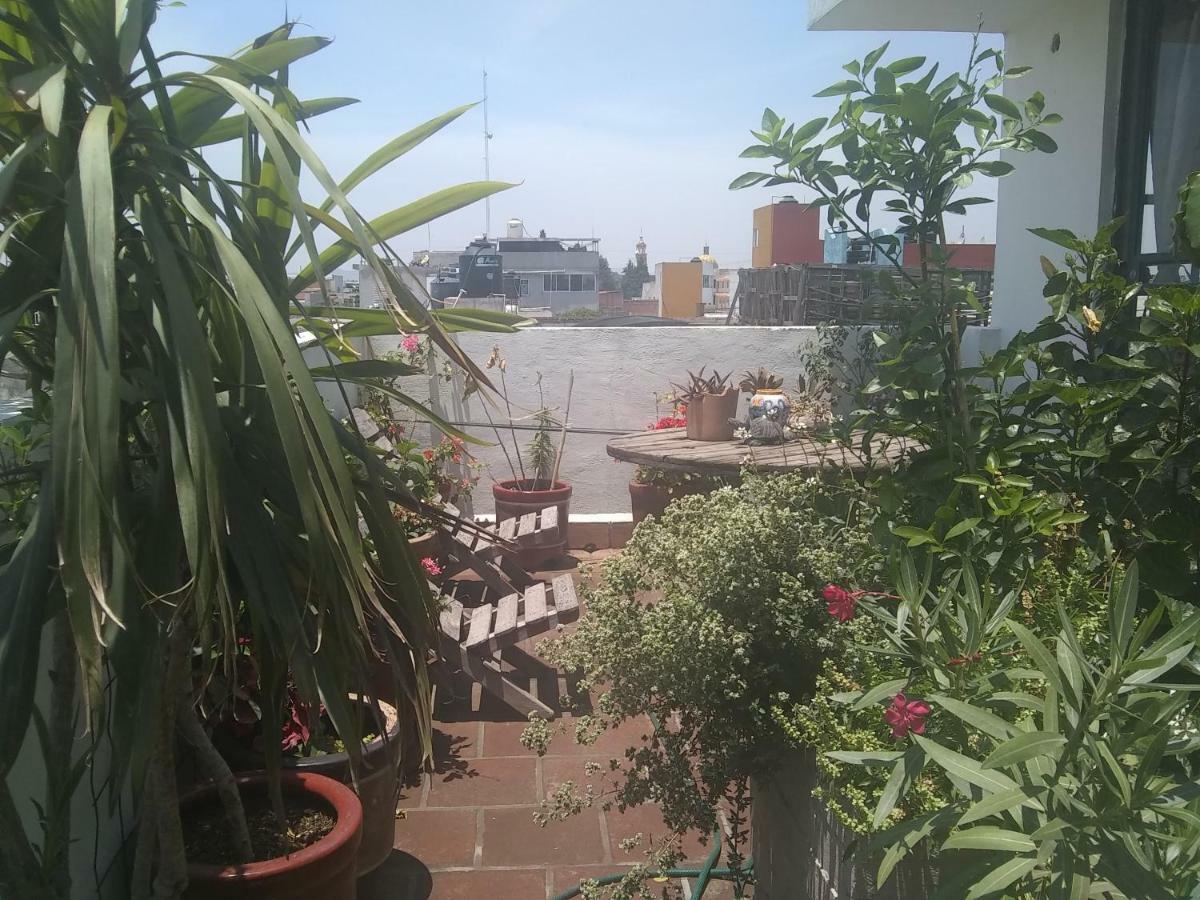 تشولولا Hostal El Cascabel المظهر الخارجي الصورة